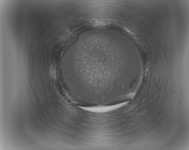 X0000067371348200604031023