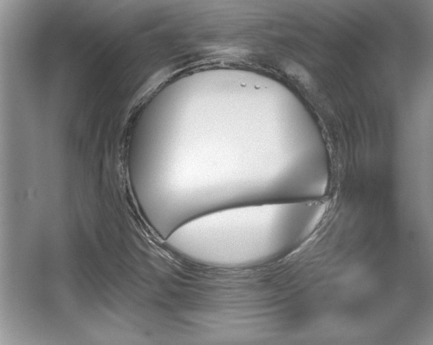 X0000067371354200604031022