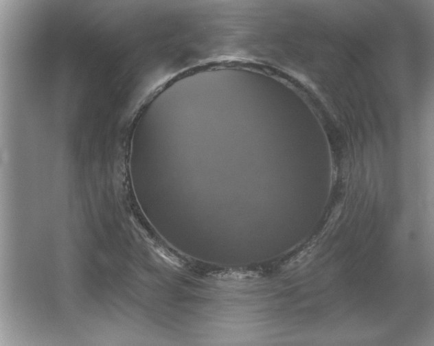 X0000067371359200604031022