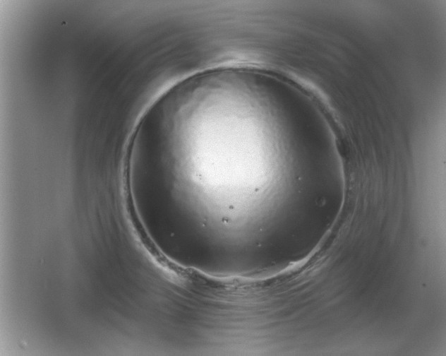 X0000067371375200604031022