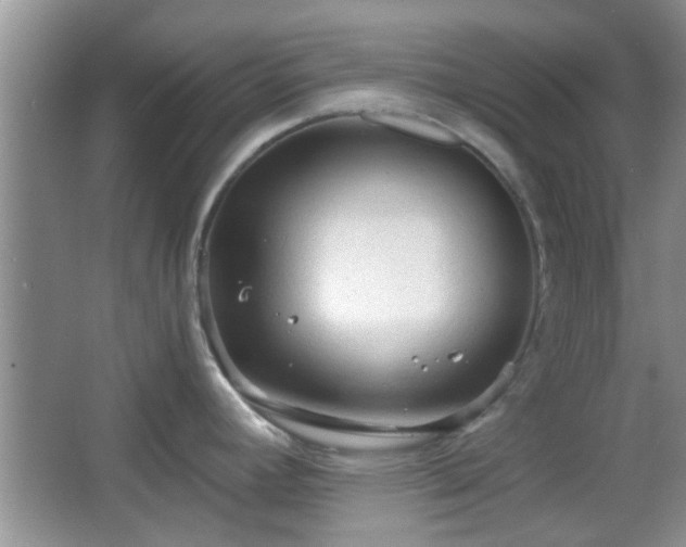 X0000067371392200604031022