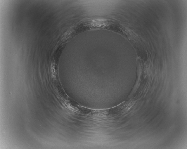 X0000067371394200604031021