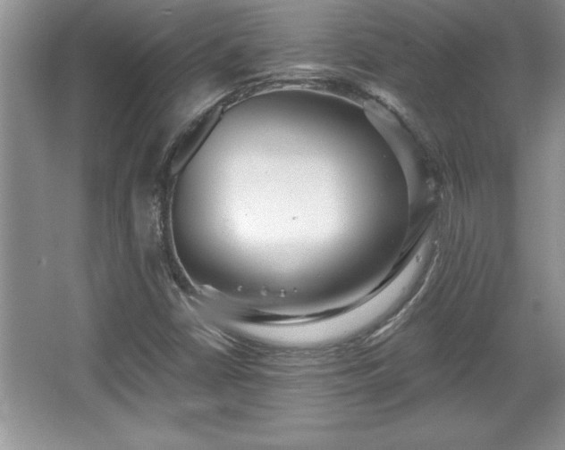 X0000067371402200604031021