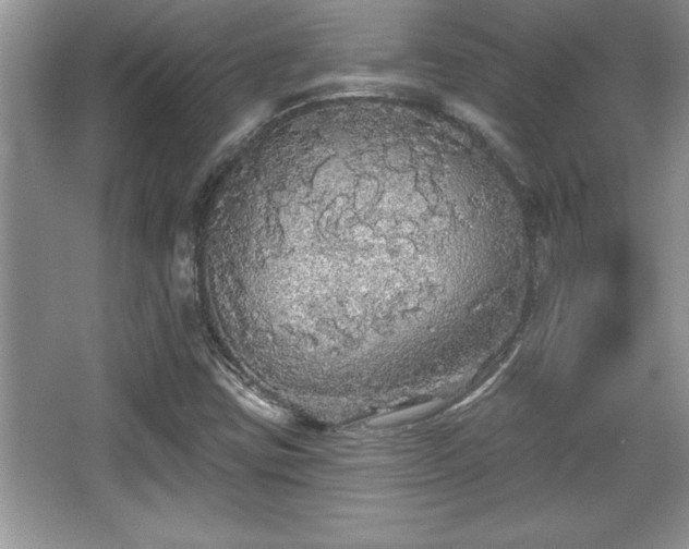 X0000067371403200604031021