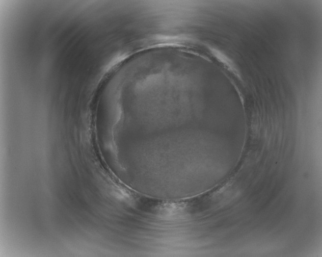 X0000067371411200604031021