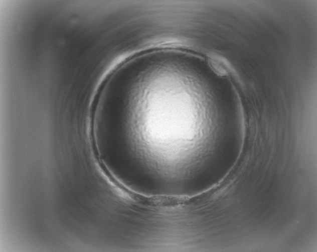 X0000067371424200604031022