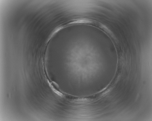 X0000067371425200604031022
