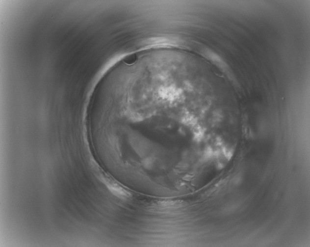 X0000067371427200604031022