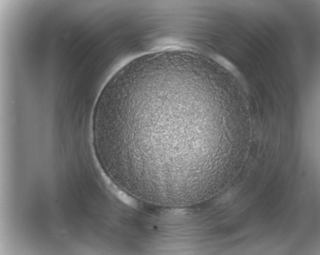 X0000067371431200604031022