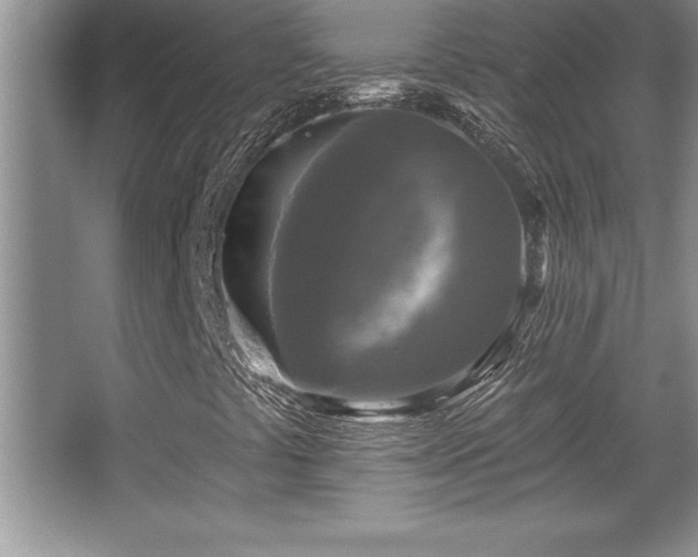 X0000067371441200604031021