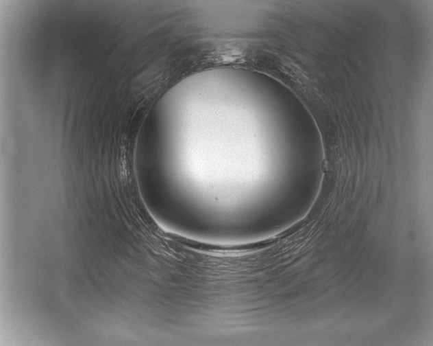 X0000067371442200604031021