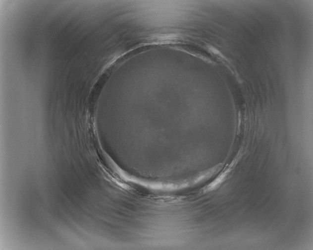 X0000067371449200604031021