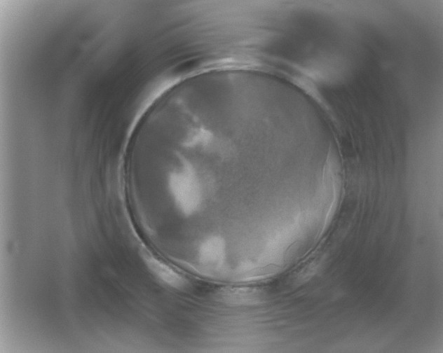 X0000067371474200604031020