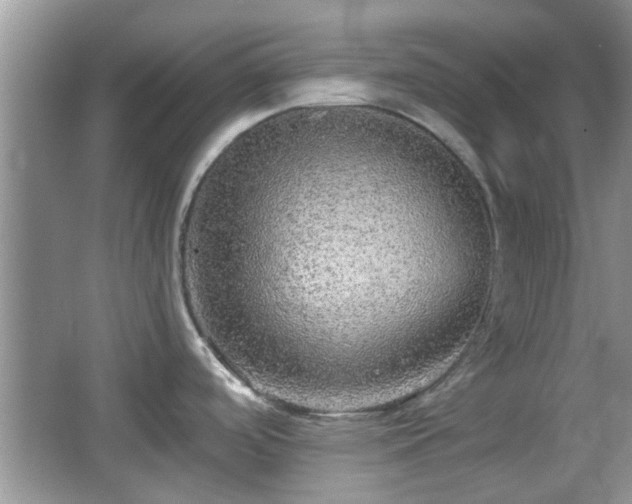 X0000067371488200604031020