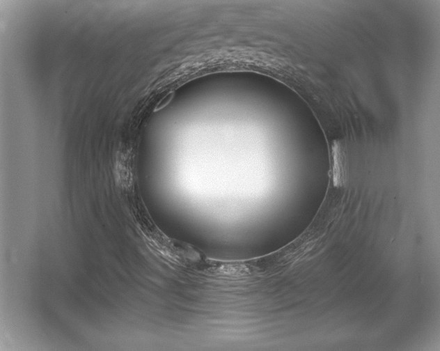 X0000067371491200604031019