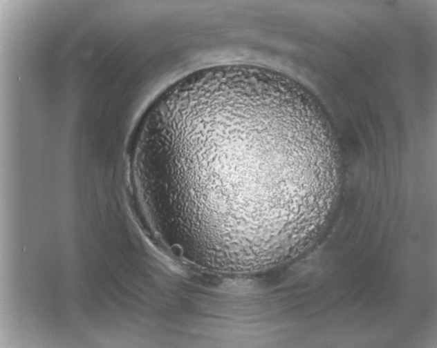 X0000067371509200604031020