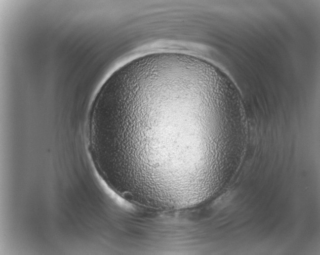 X0000067371531200604031020