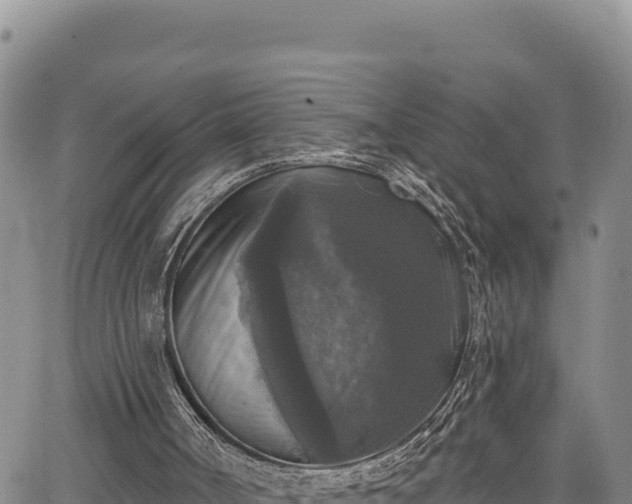 X0000067370002200604071452