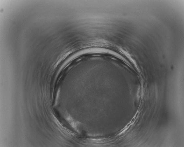 X0000067370154200604071449