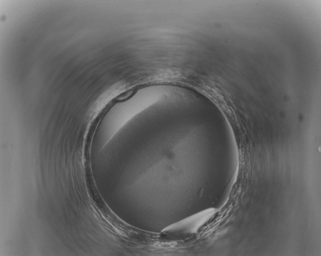X0000067370196200604071449