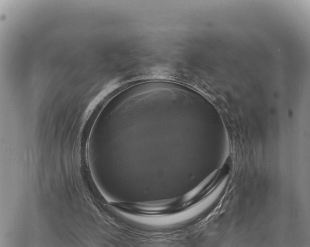 X0000067370200200604071449