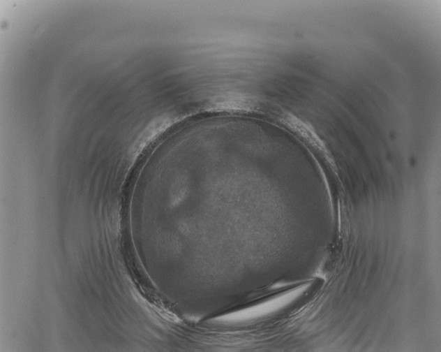 X0000067370204200604071449