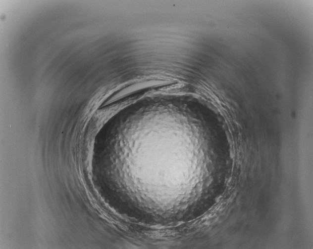 X0000067370241200604071448