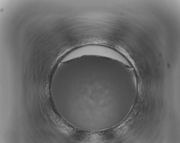 X0000067370249200604071448