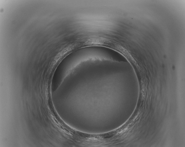 X0000067370386200604071446