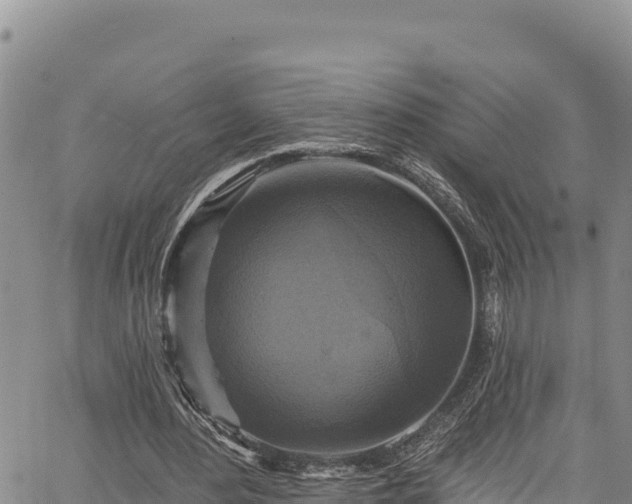X0000067370484200604071444