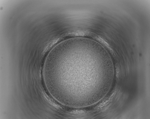X0000067370537200604071443