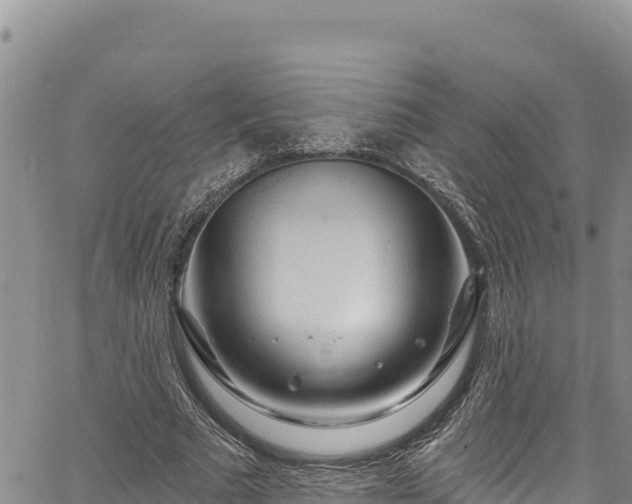 X0000067370681200604071441
