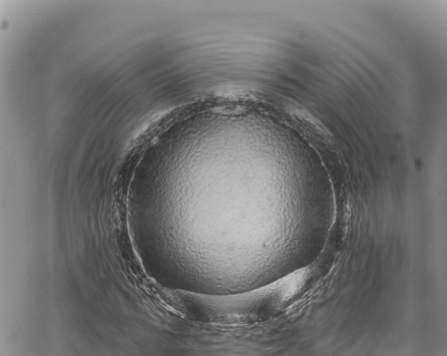X0000067370776200604071440