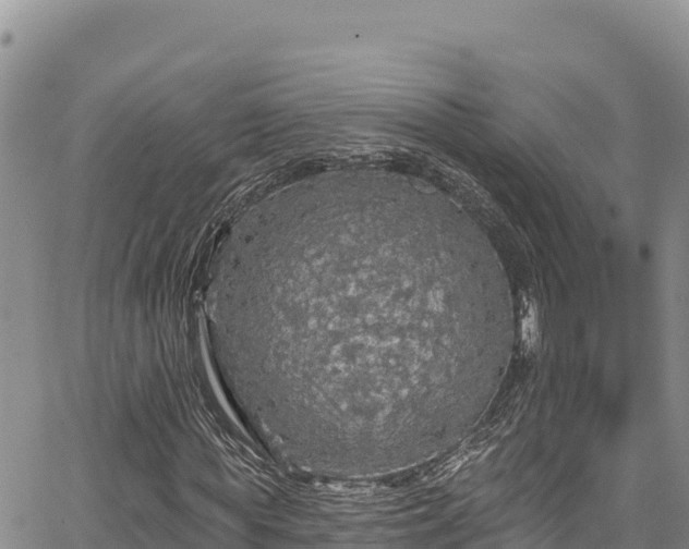 X0000067370819200604071438