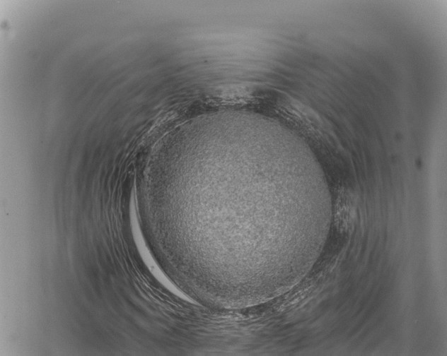X0000067370866200604071438
