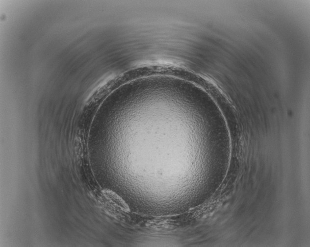 X0000067370967200604071437
