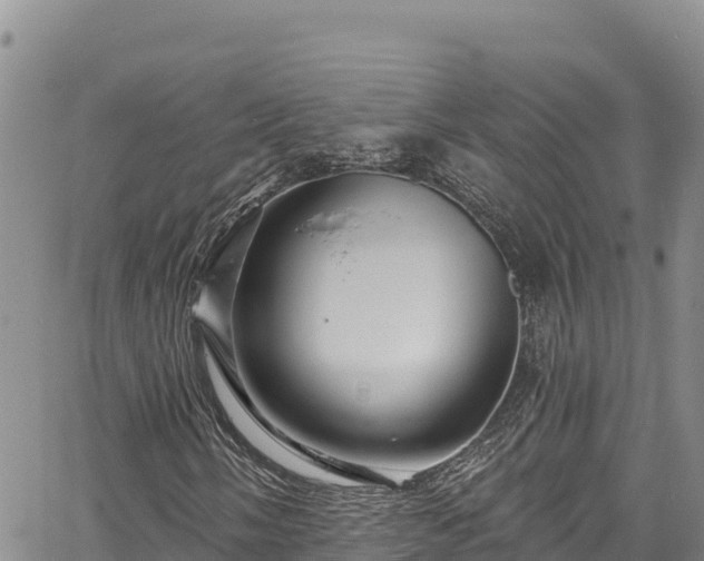 X0000067371058200604071435
