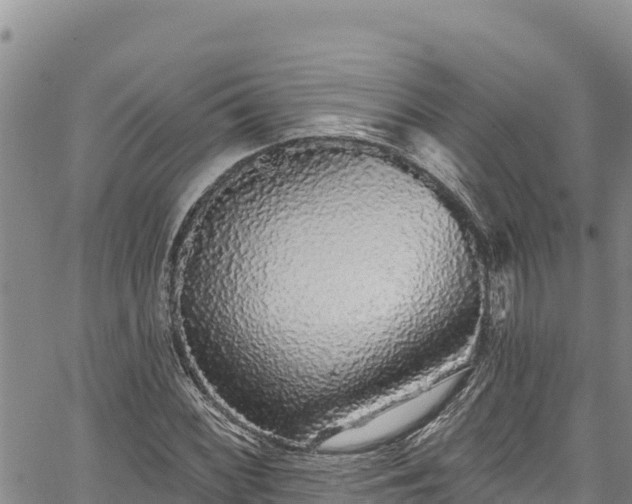 X0000067371068200604071435