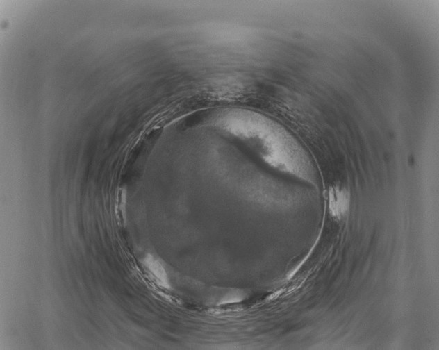X0000067371155200604071434