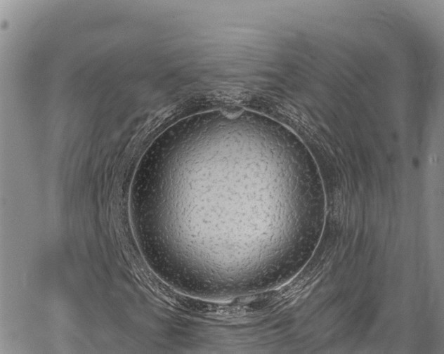 X0000067371201200604071432