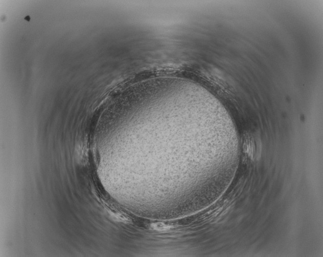 X0000067371252200604071432