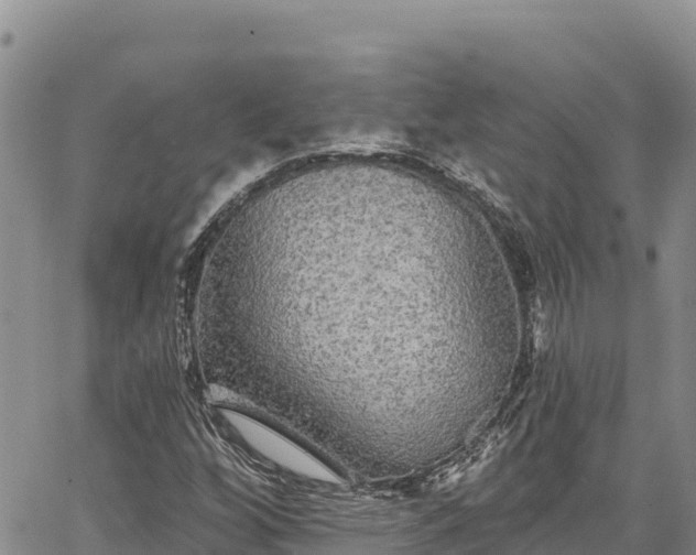X0000067371256200604071432