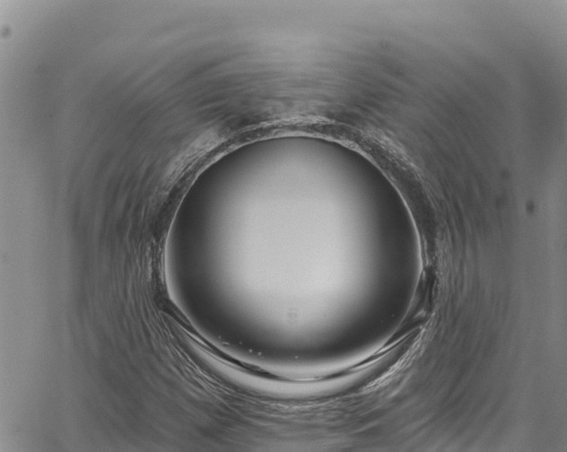 X0000067371257200604071432