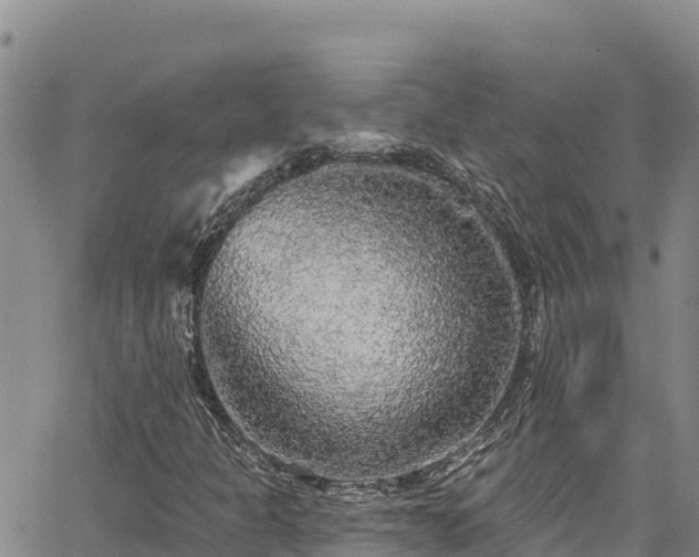 X0000067371301200604071431