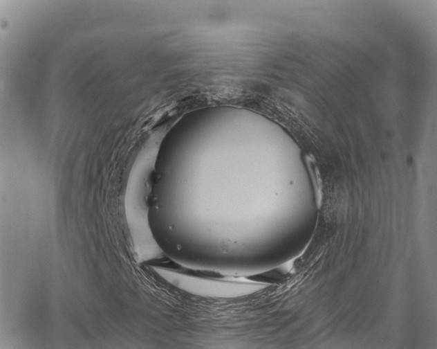 X0000067371345200604071430