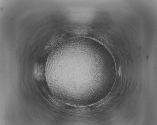 X0000067371396200604071429