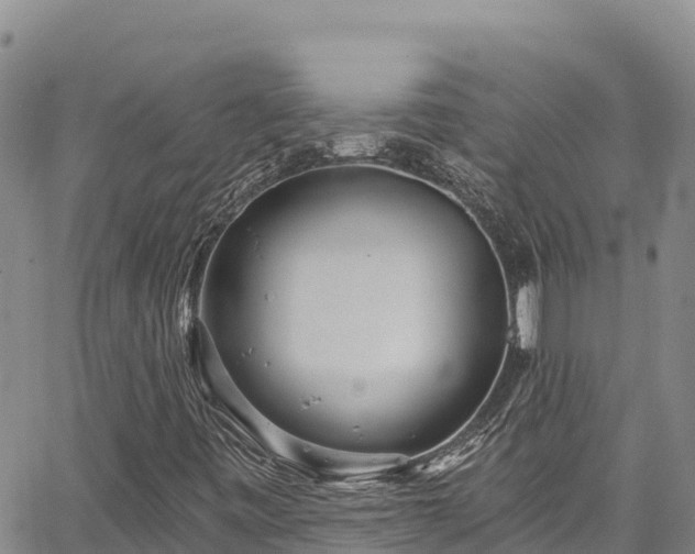 X0000067371443200604071429