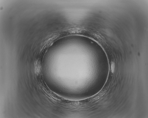 X0000067371444200604071429