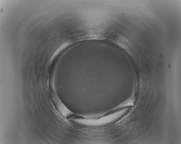X0000067371450200604071429