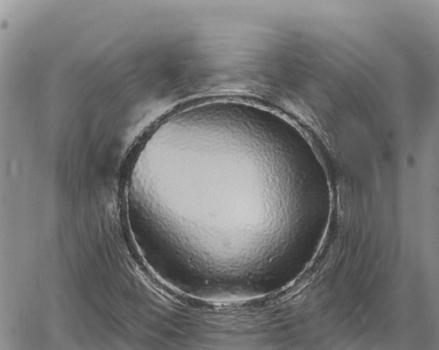 X0000067371452200604071429